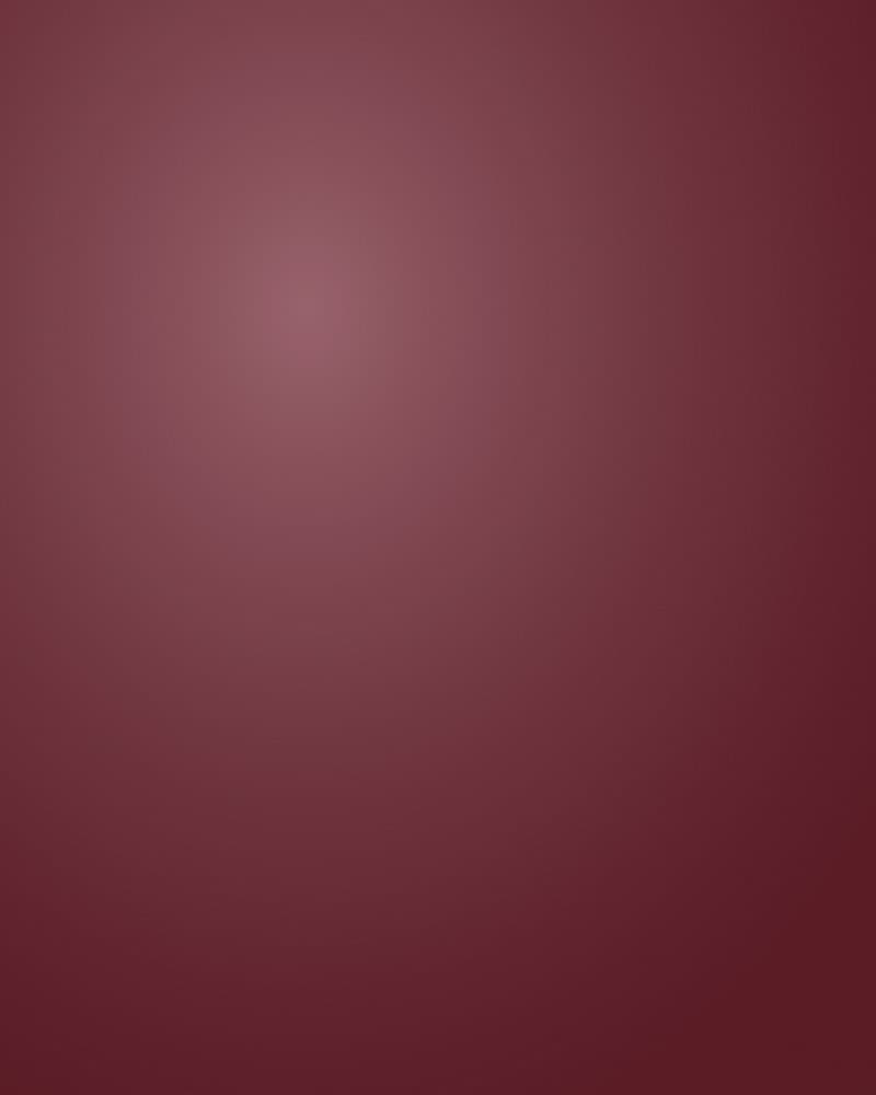 Paleta BT Burgundy, swatch macro